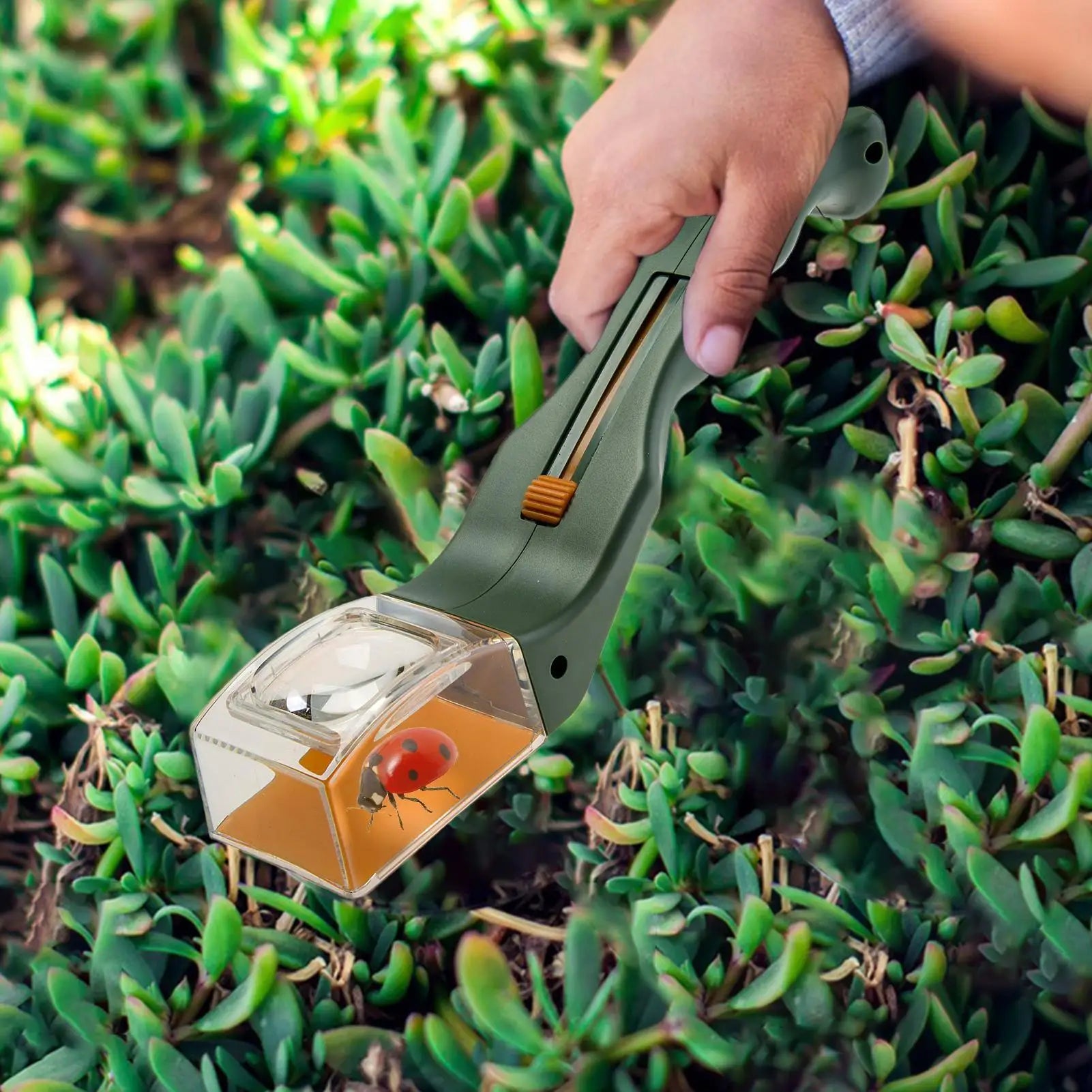 Insect Catcher with Magnifying Fly Grabber Spider Catcher Bug Insect Catching Tool Bee Clamp Insect Catching Insect Trap